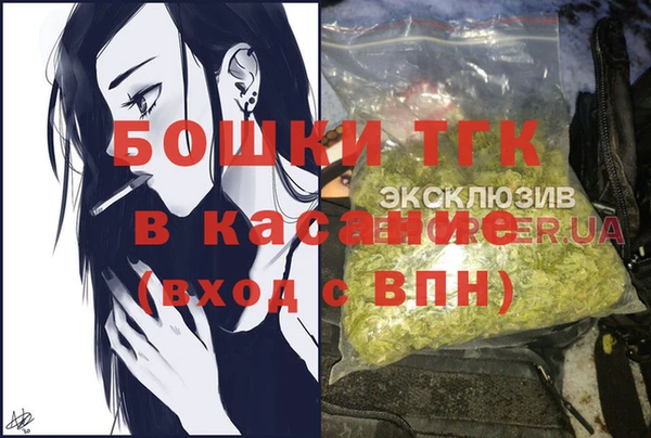 гашик Бородино