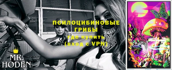 Альфа ПВП Богородск