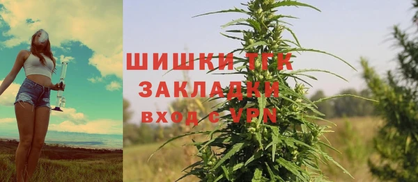 Альфа ПВП Богородск